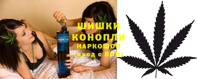 Конопля Amnesia  где продают наркотики  Кострома 